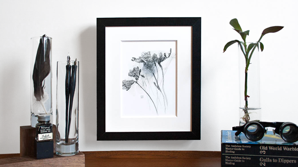 Melissa_Carmon_Art_Freesia_Flower_Art_Botanic_Drawing.png