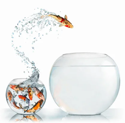 Photo Credit: Risk Management Demystified