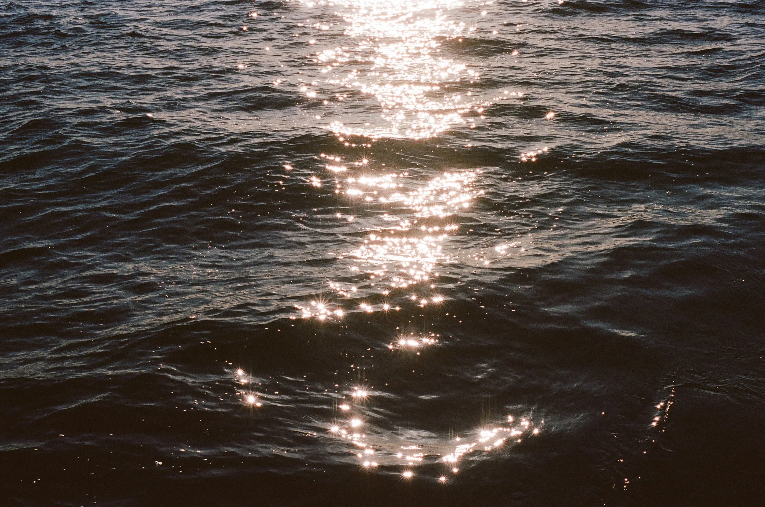 411368_0006(2)(2) (1).jpg