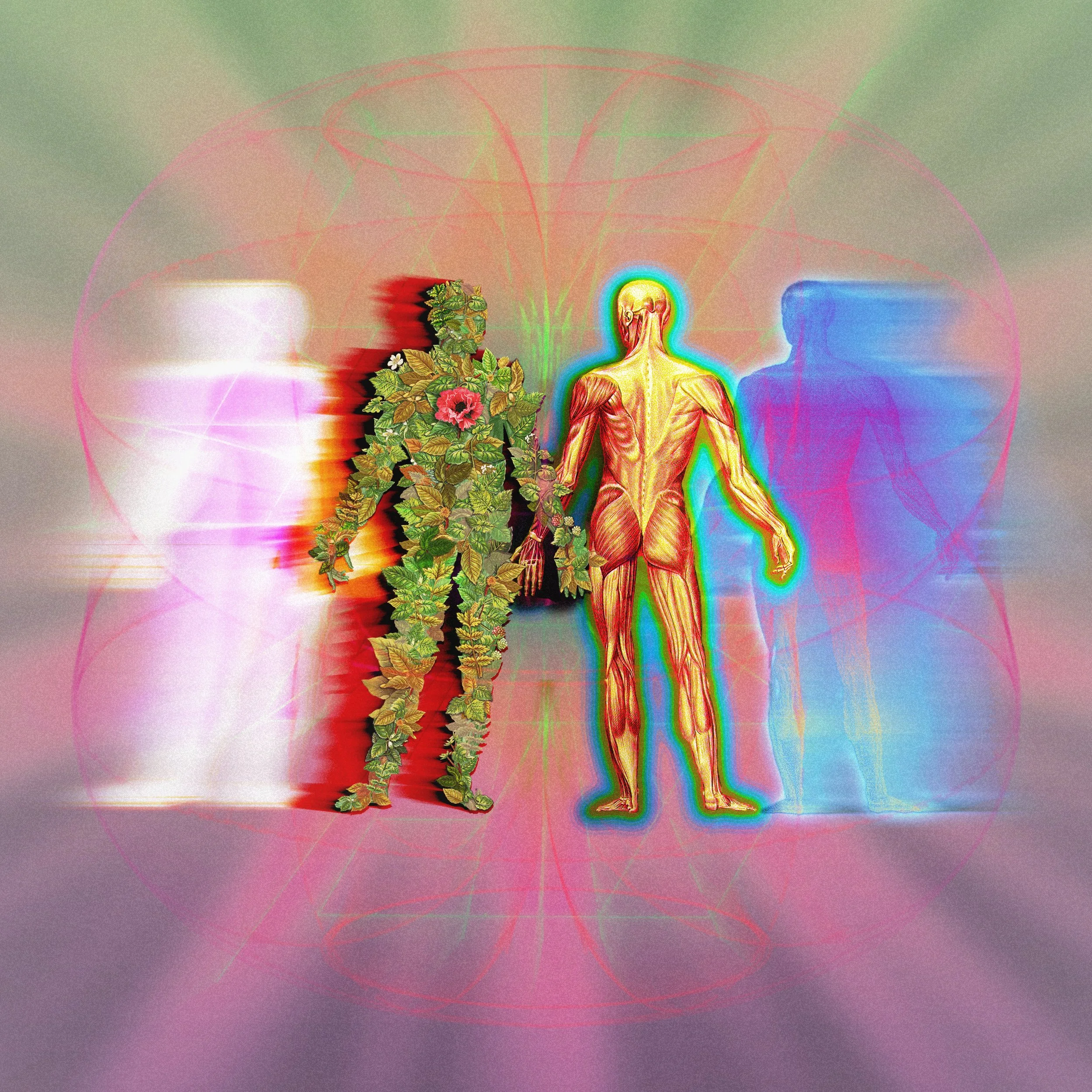 Leaf Man Album Cover.jpg
