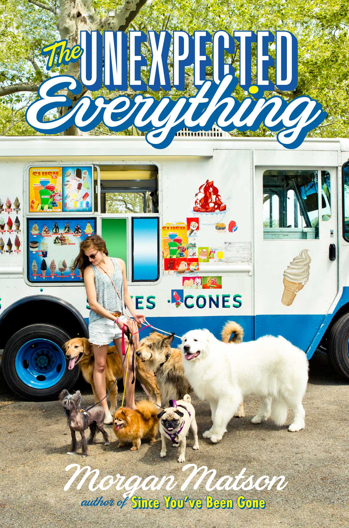 THE UNEXPECTED EVERYTHING Cover.jpg