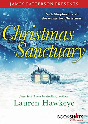 CHRISTMAS SANCTUARY book cover.jpg