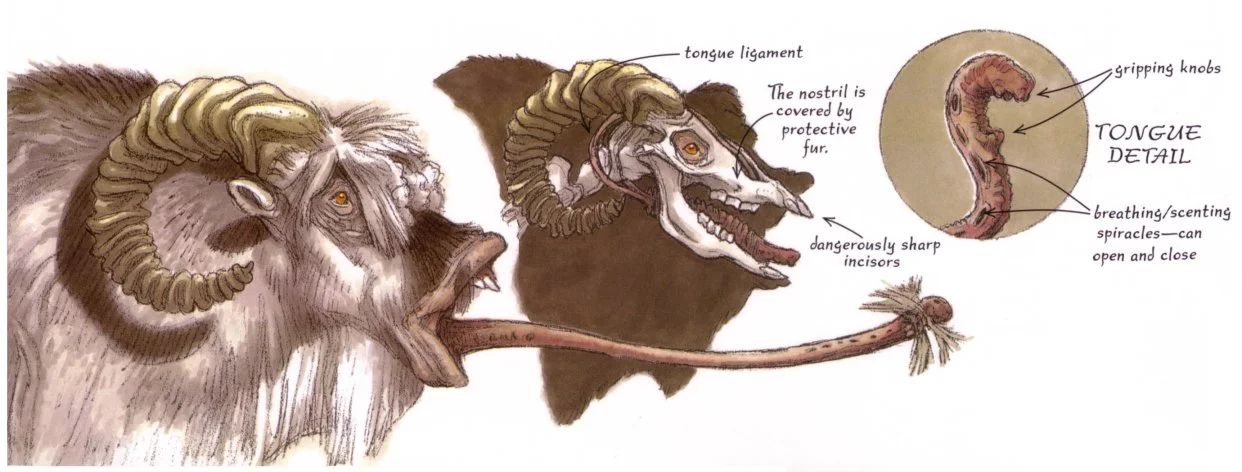 Bantha_tongue.jpg