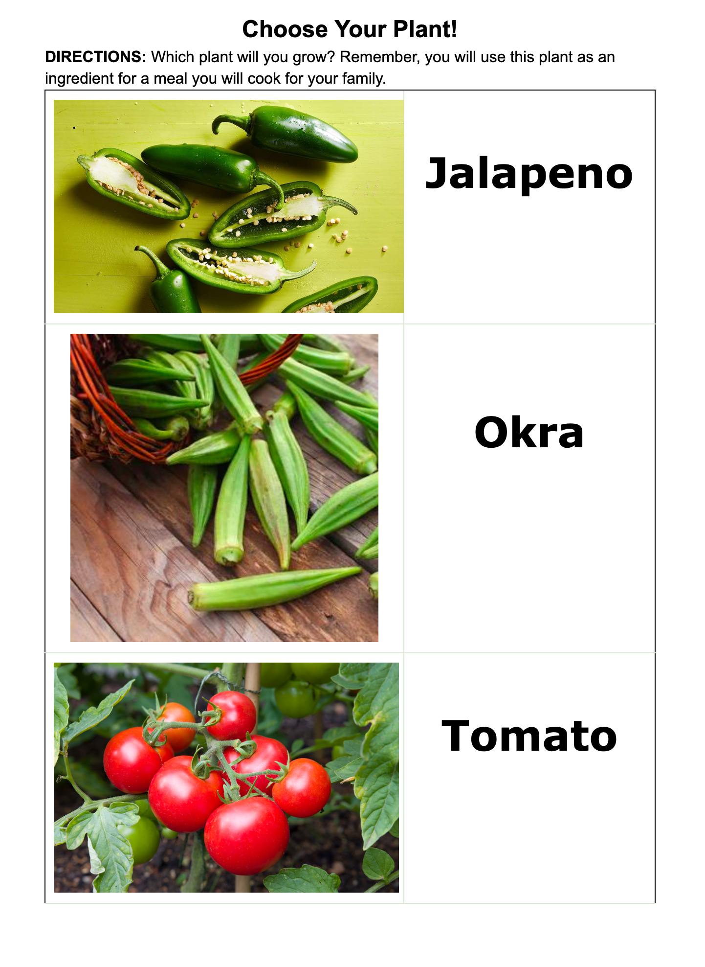 Edible Plants That Students Could Select For The Project