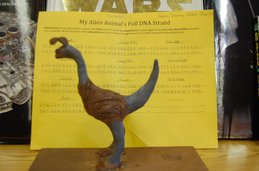 Student Designed Alien Animal and its DNA