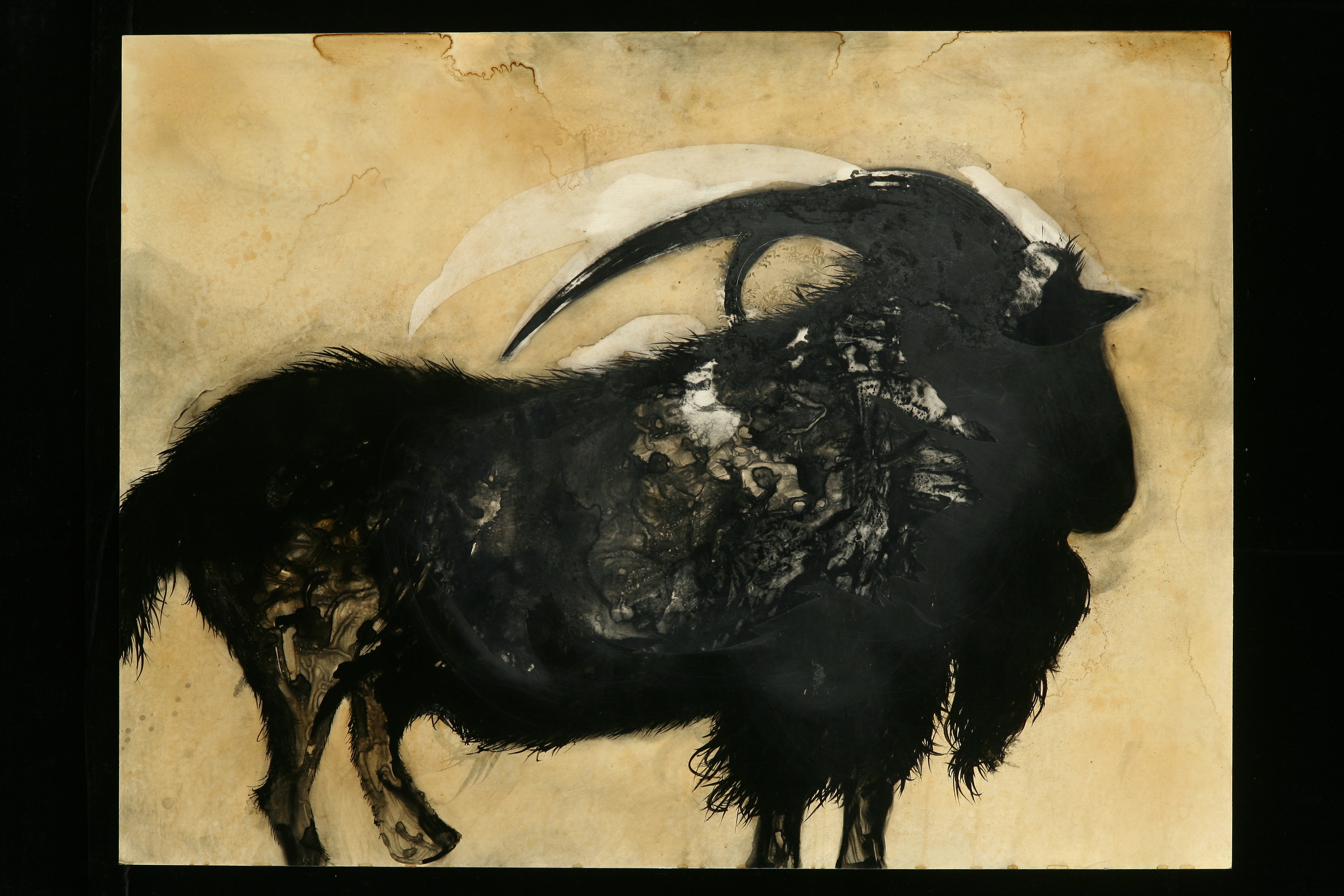 Billy Goat
