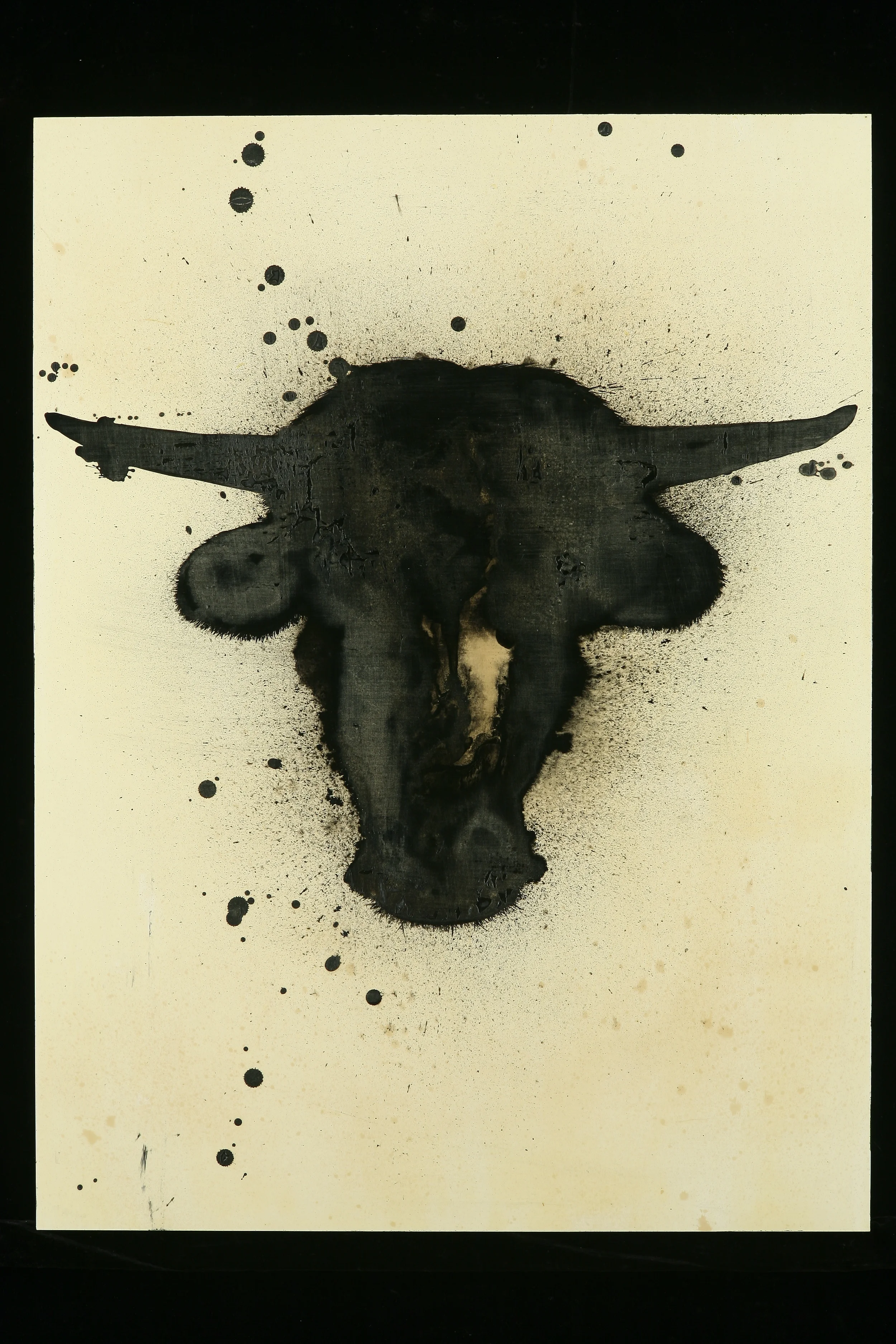 The Steer