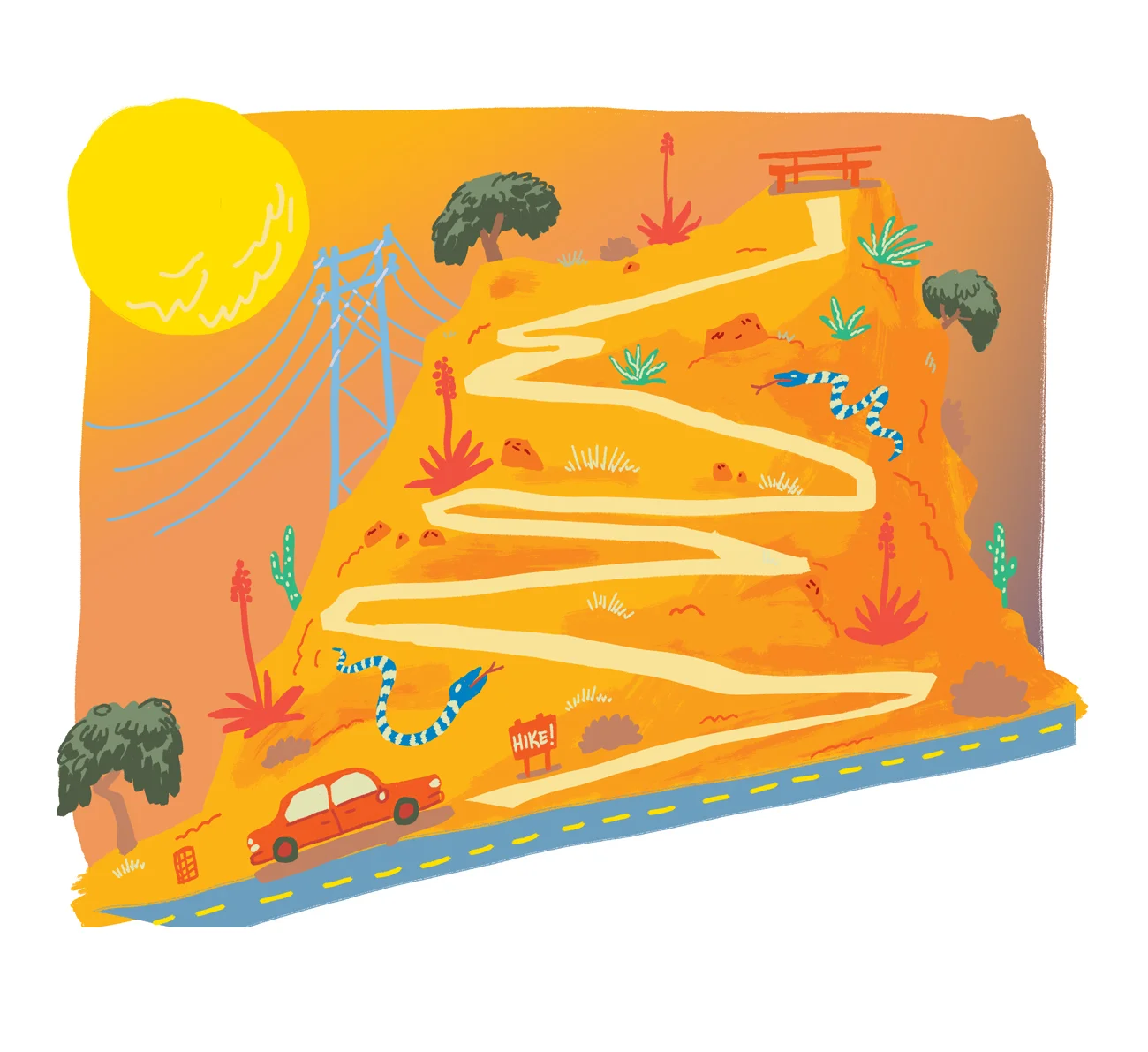 Summer Hikes