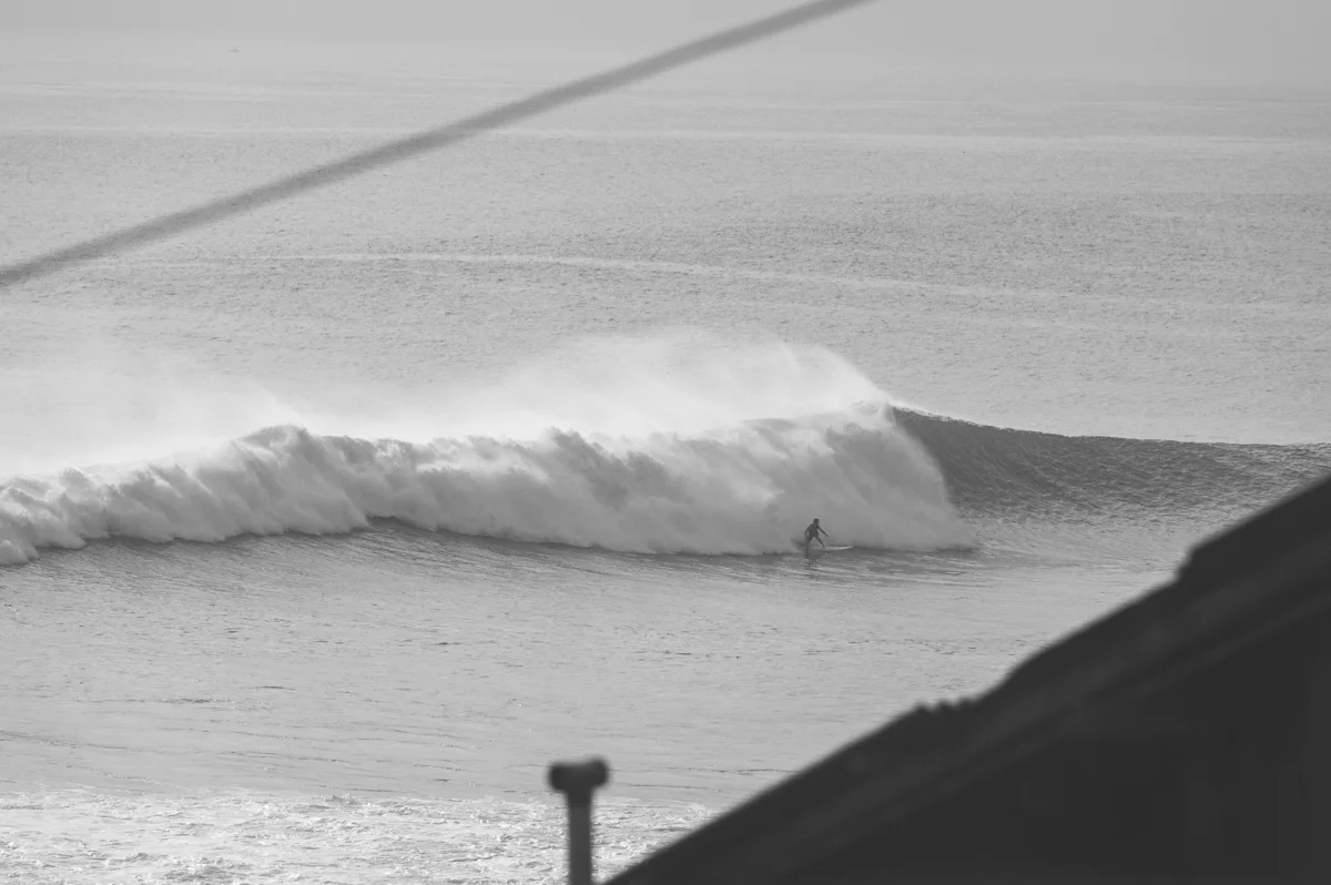 DSC_2958.jpg