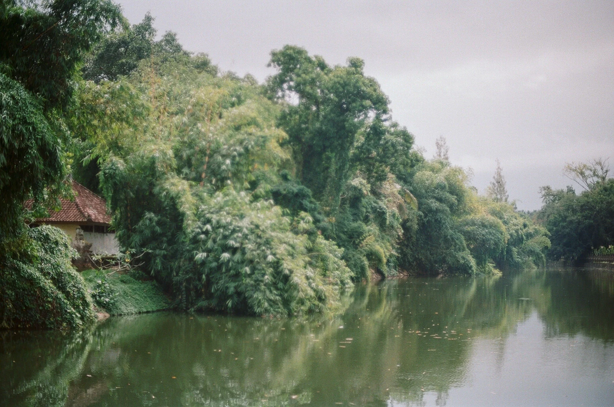 3761-21.jpg