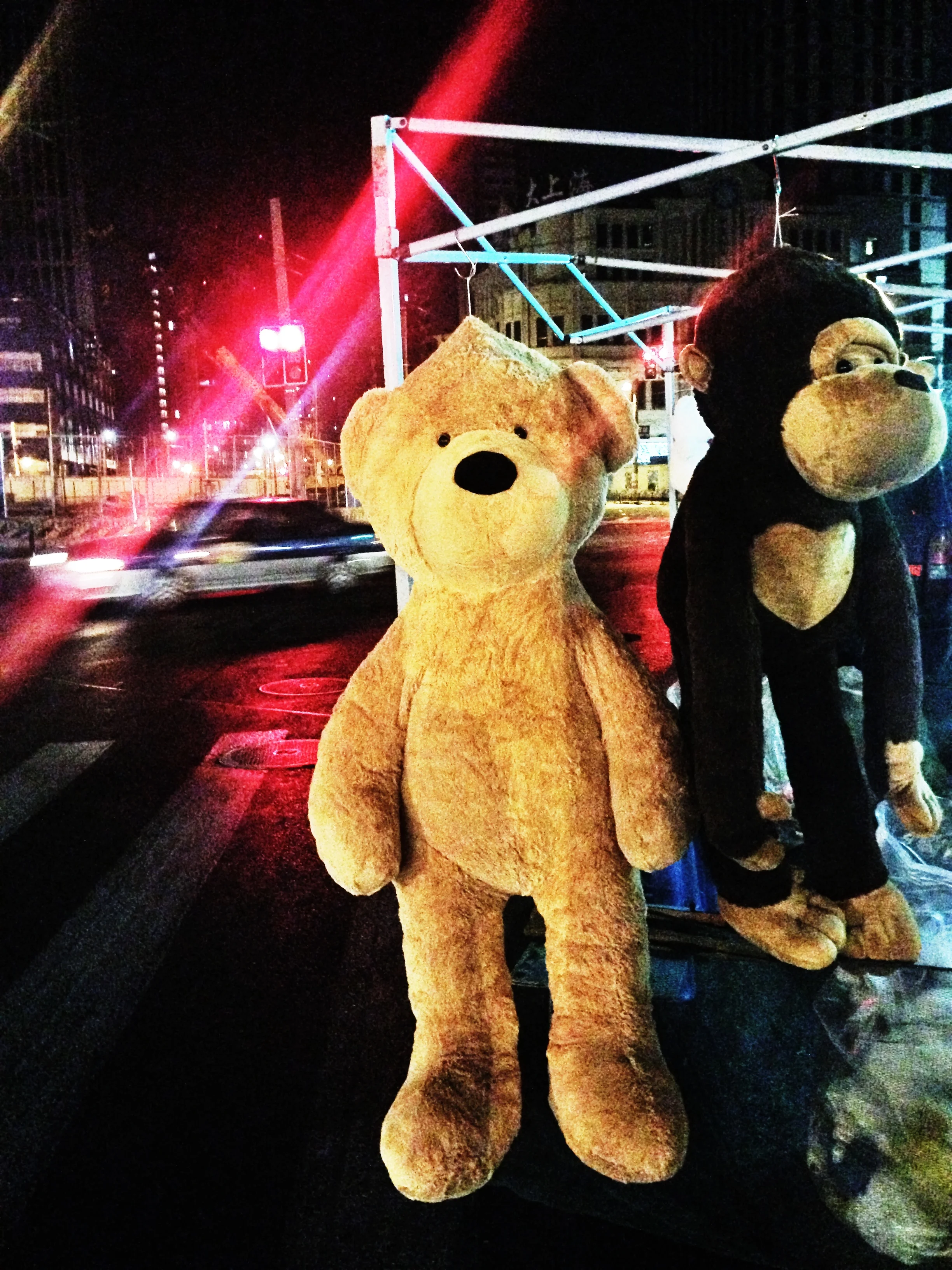 2013-12-13 09.11.30-2.jpg
