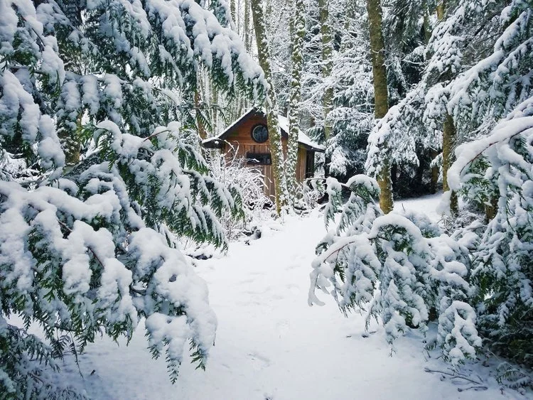 aldermarsh winter 2.jpeg