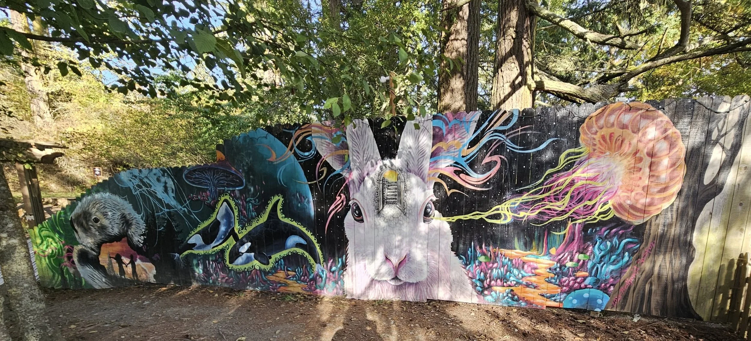 doe bay retreat 5.jpg