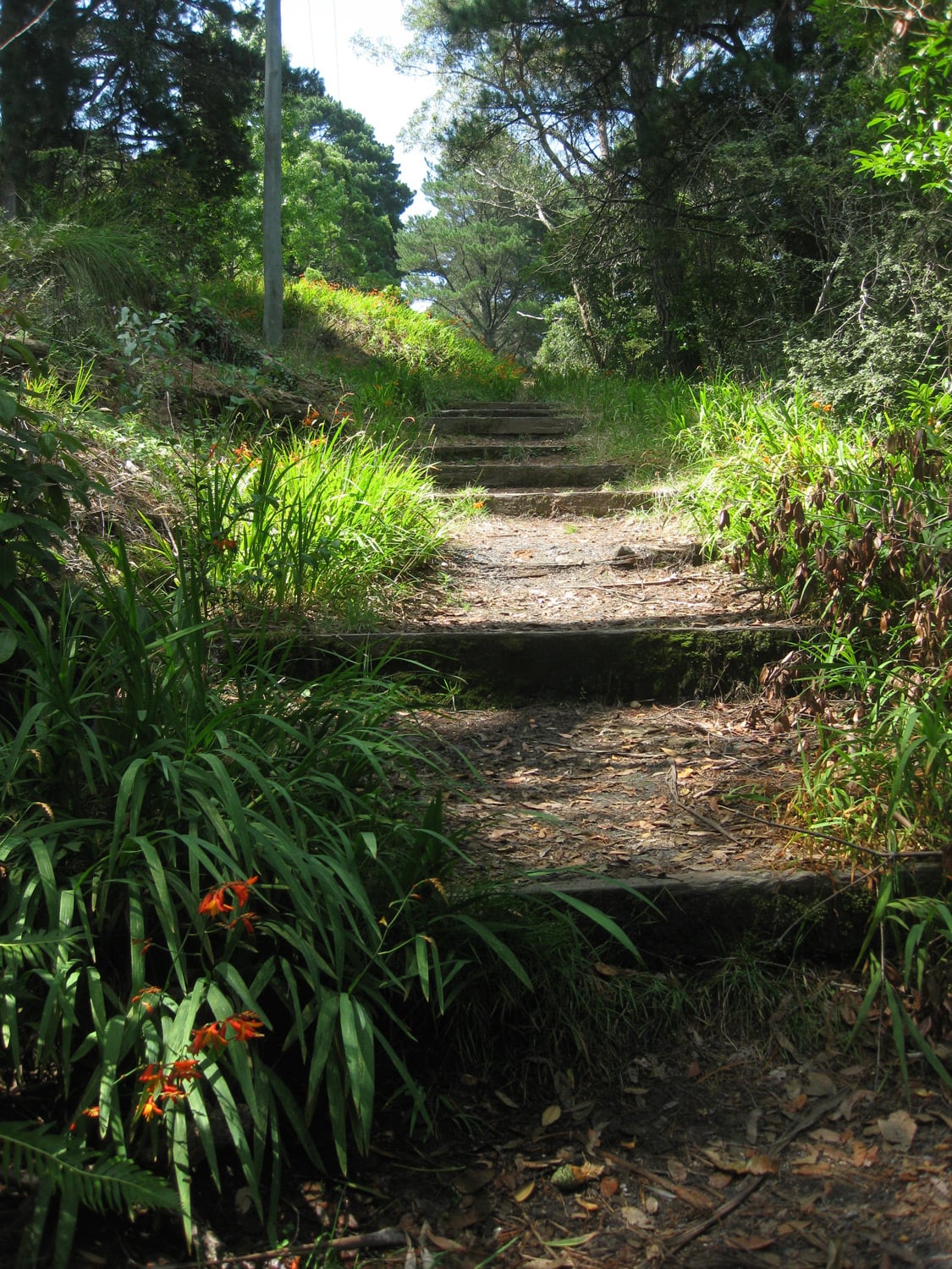more steps