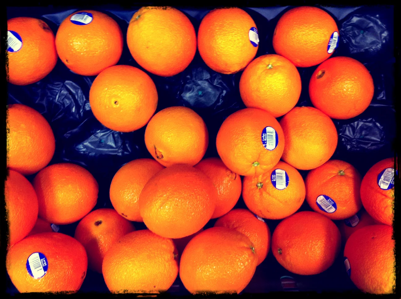 orangeprize.jpg