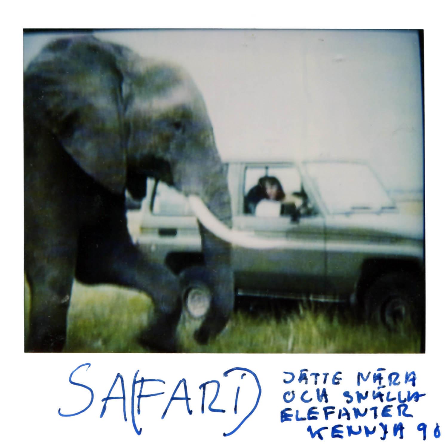 SAFARI Pretty close and really friendly Elephants Kenya 91