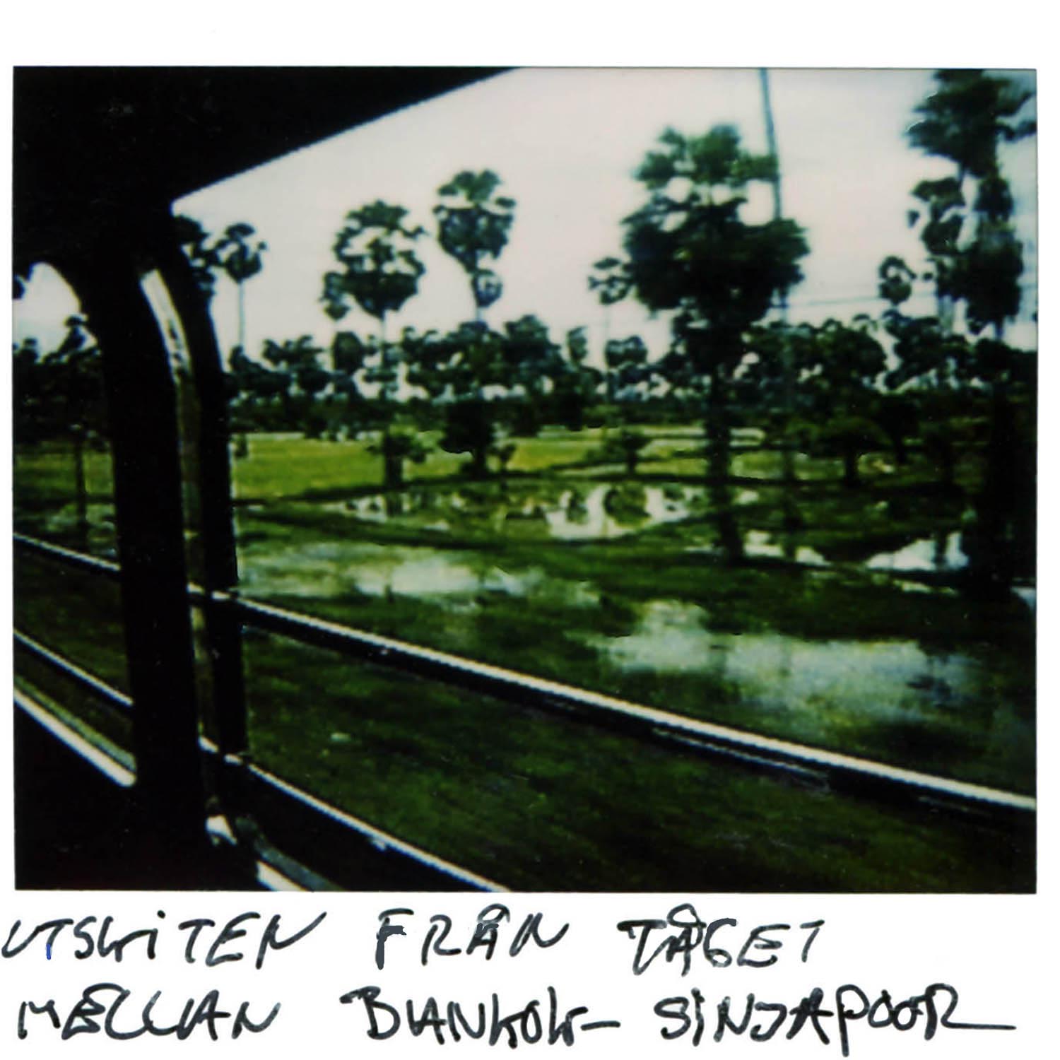 The view from the train between Bangkok and Singapore 