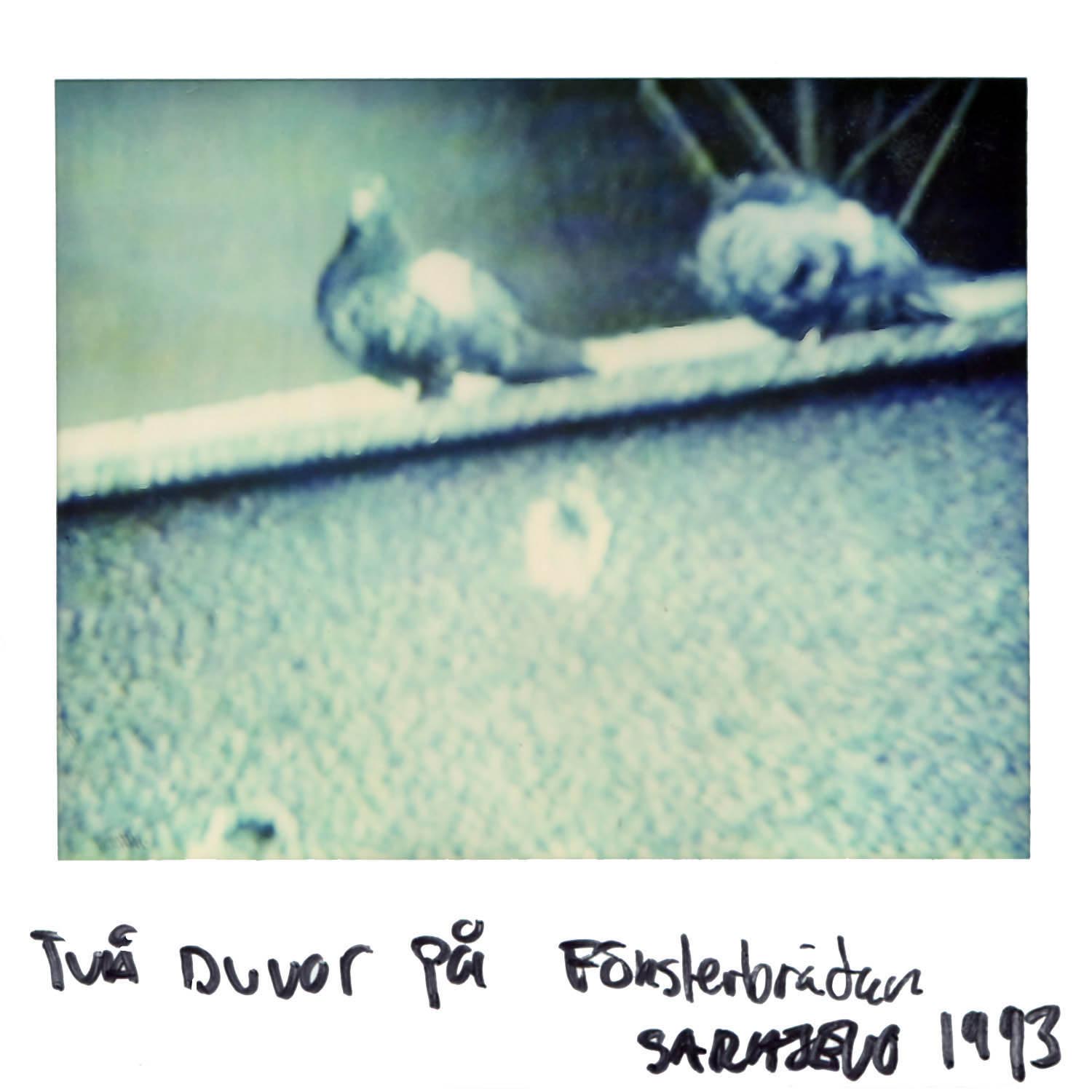 2 doves on the windowsill Sarajevo 1993