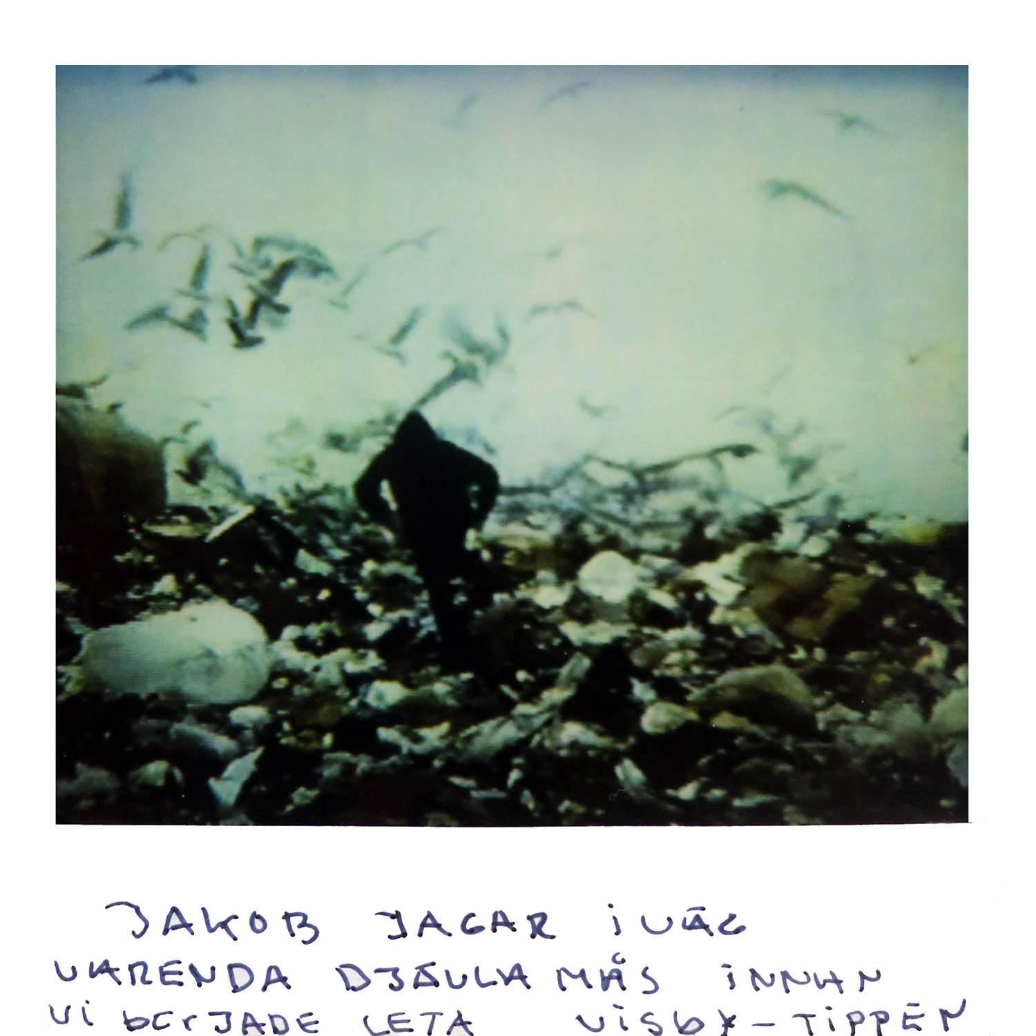 Jacob chase away every damn seagull before we started looking. Garbage dump Visby