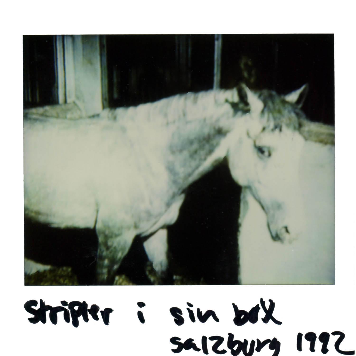 STIPLER in his box Salzburg 1992