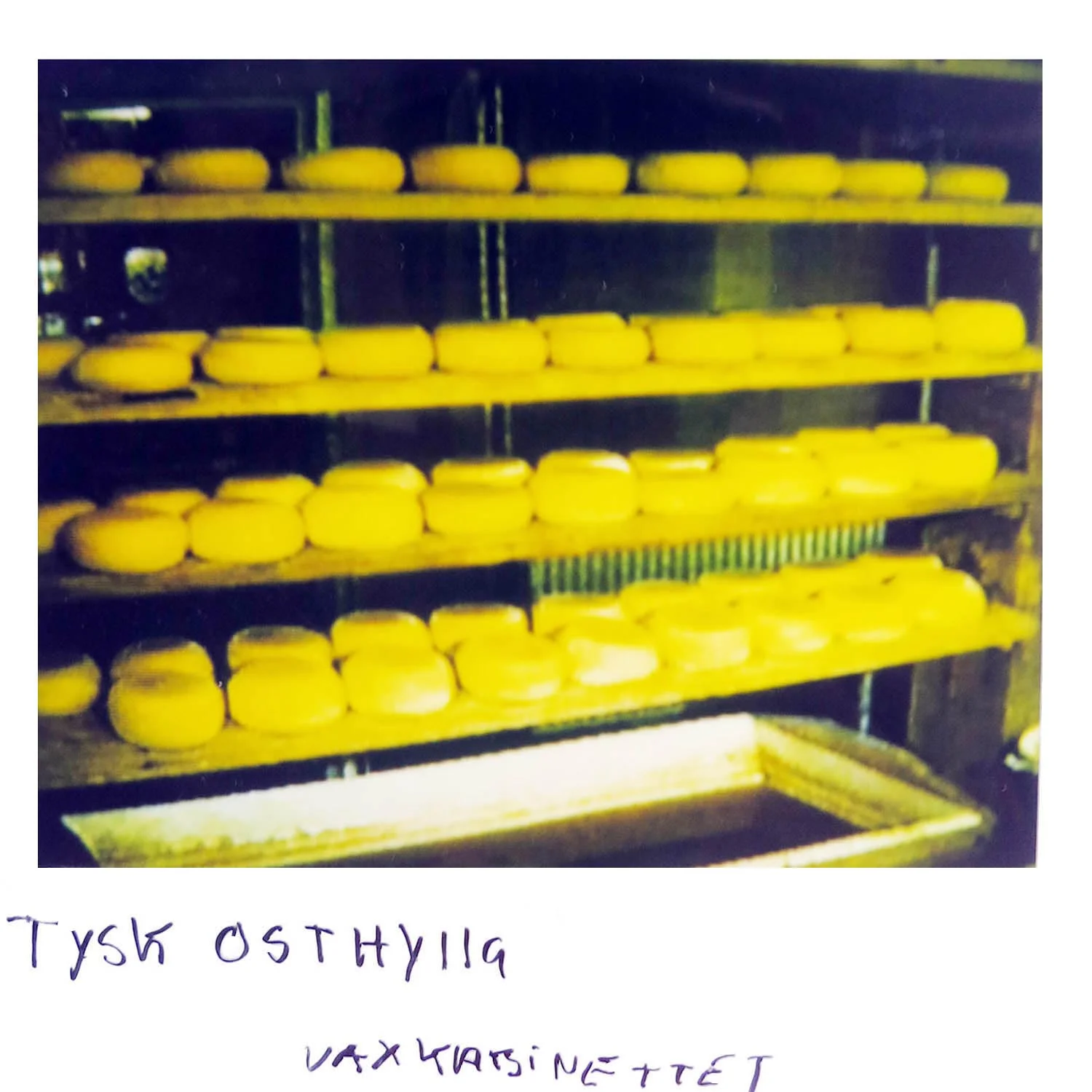 A German cheese shelf at the waxworks museum in Germany 
