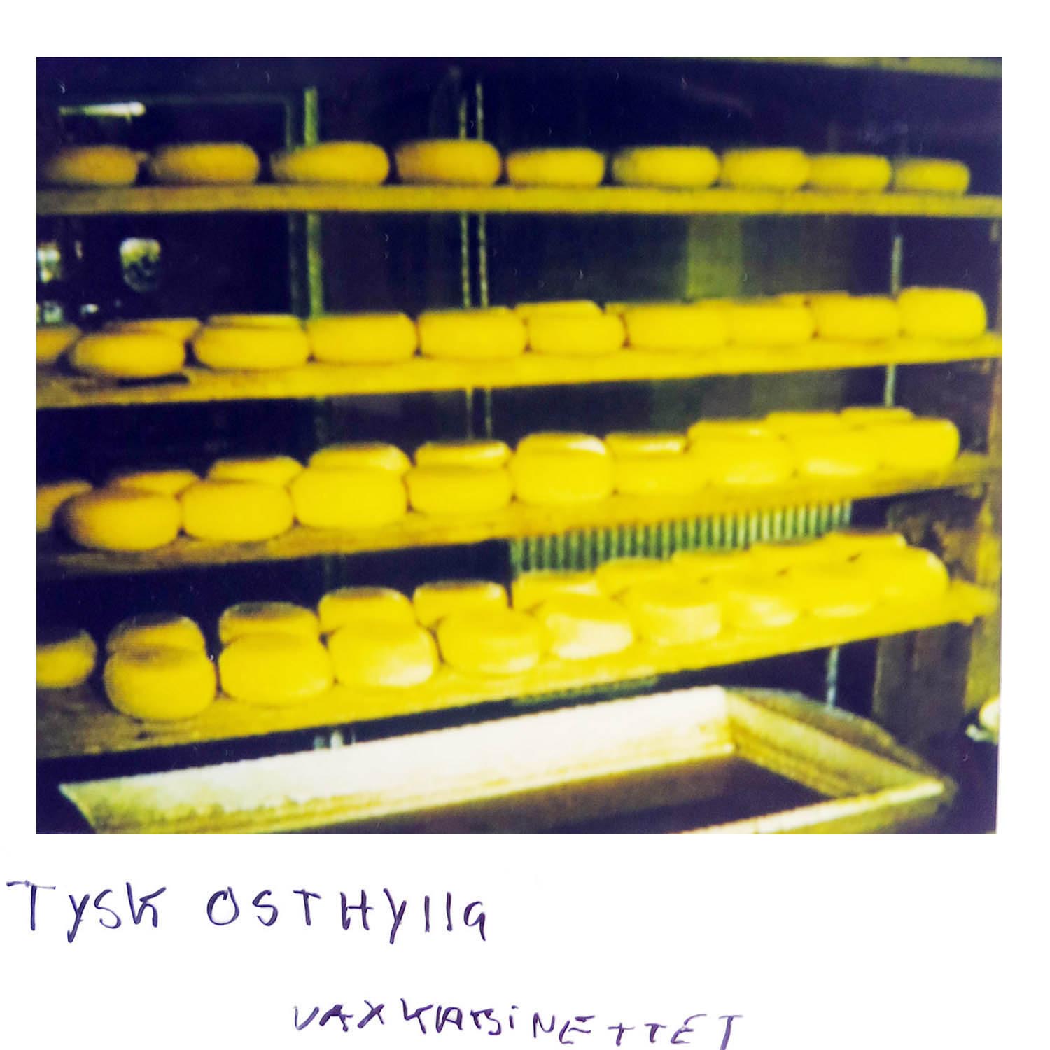 A German cheese shelf at the waxworks museum in Germany 