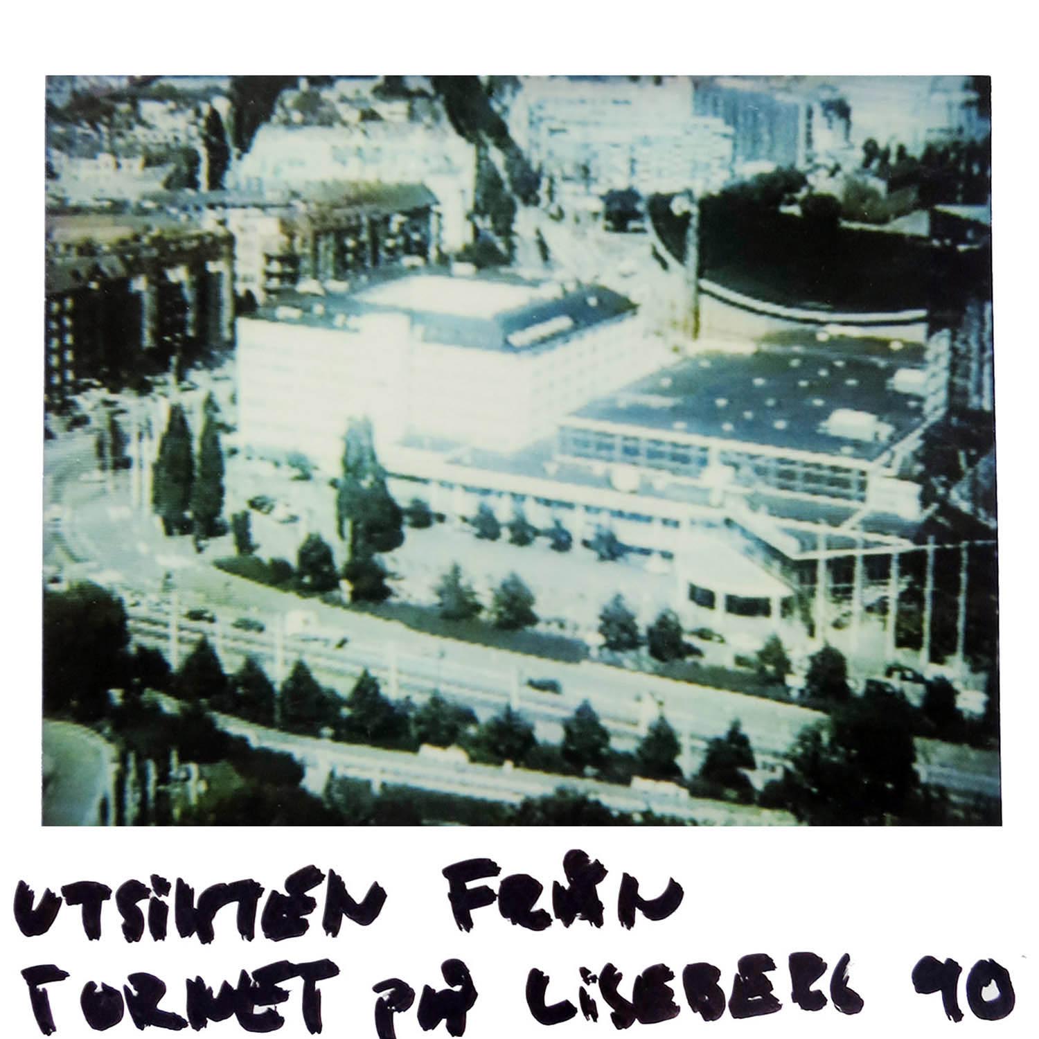 The view from the tower at Liseberg -90