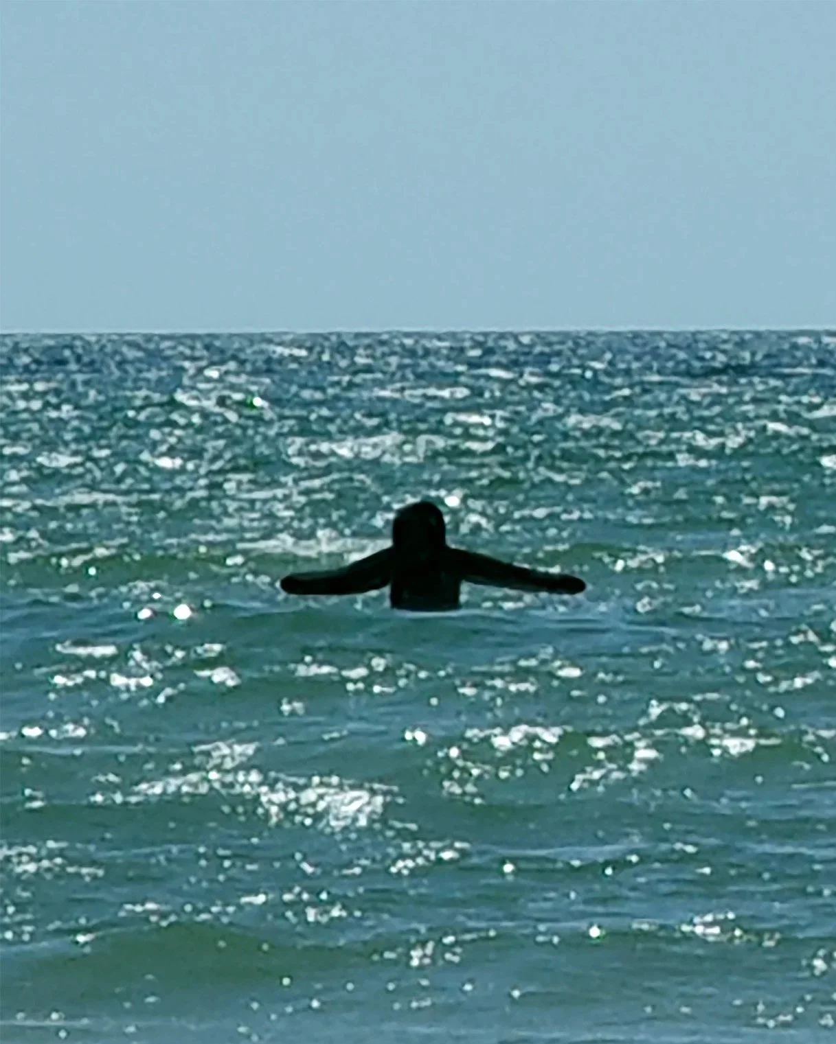 beachHUG-homgepage.jpg