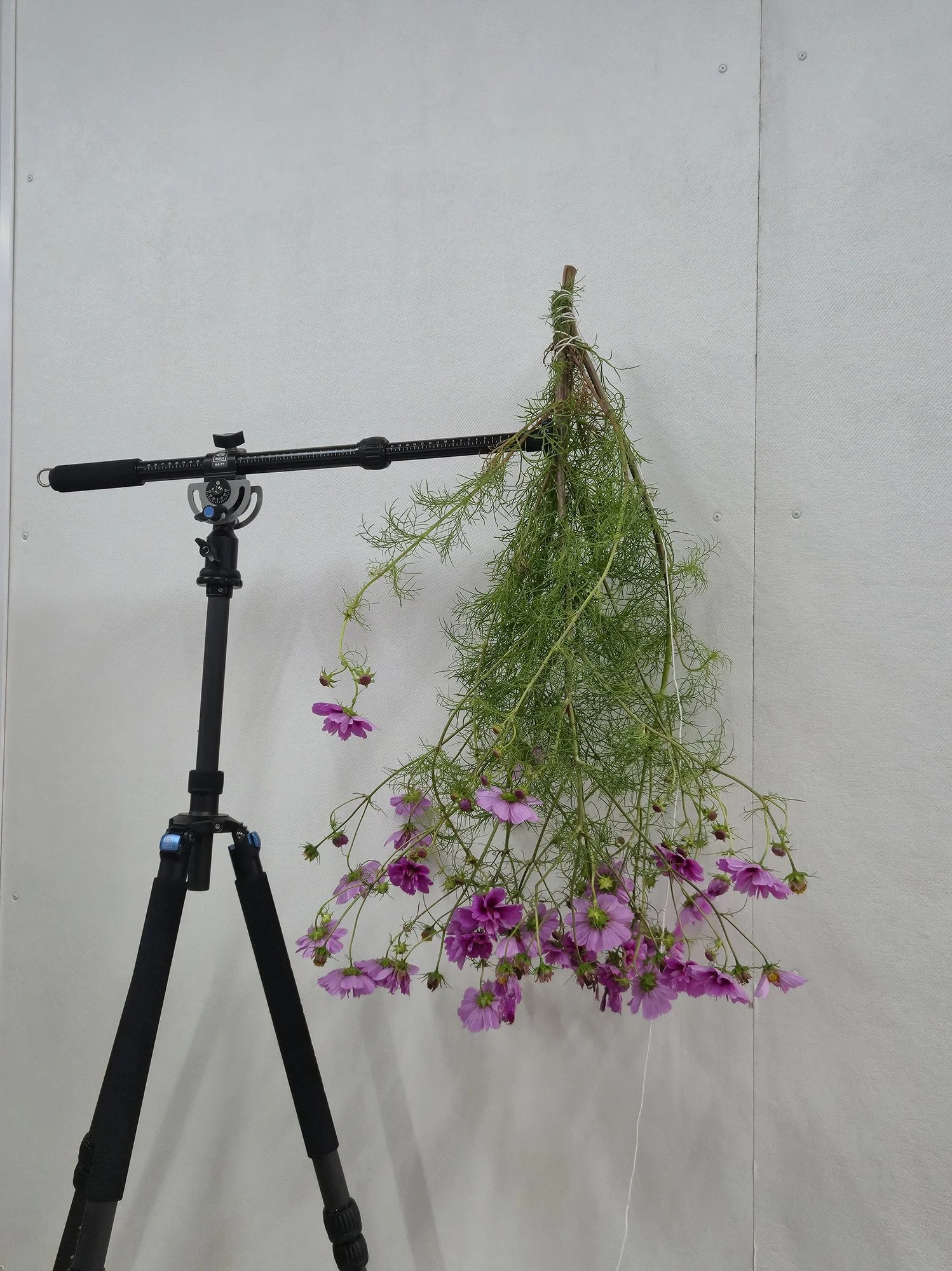 NOW-FLOWER-TRIPOD.jpg