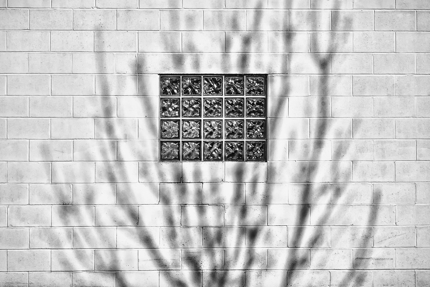 Window and Tree, Study No 1 – Lebanon, Ohio – 2012