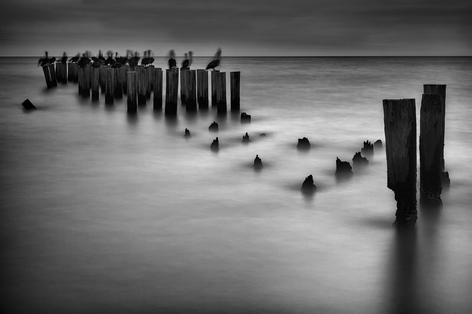 Friday Night at the Pier – Naples, Florida – 2013