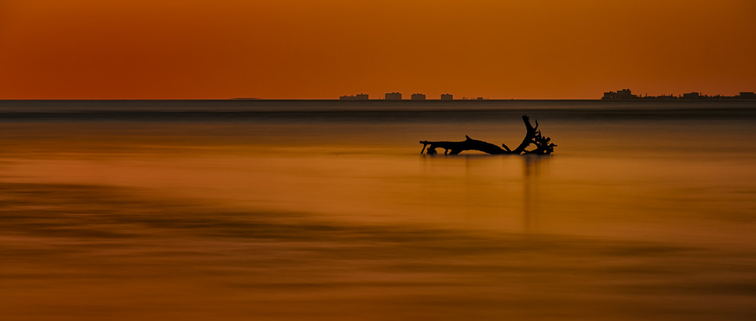 Encroachment – Bonita Springs, Florida – 2013