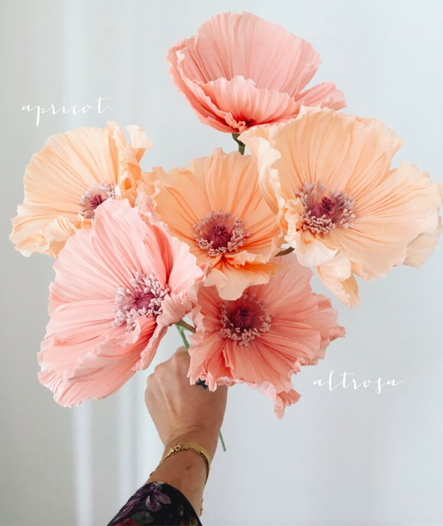 Farben_Mohn01.png