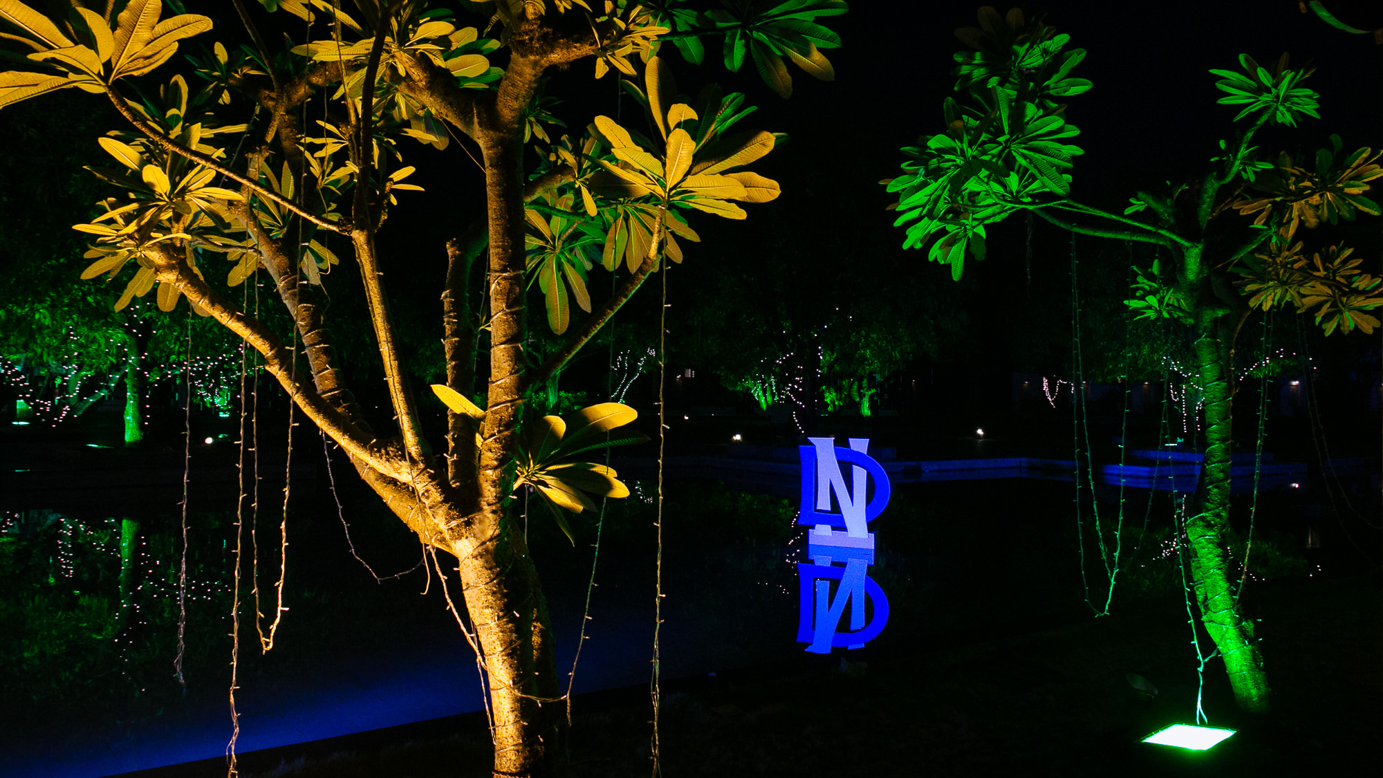 D&N_www.samandekta.com-165.jpg