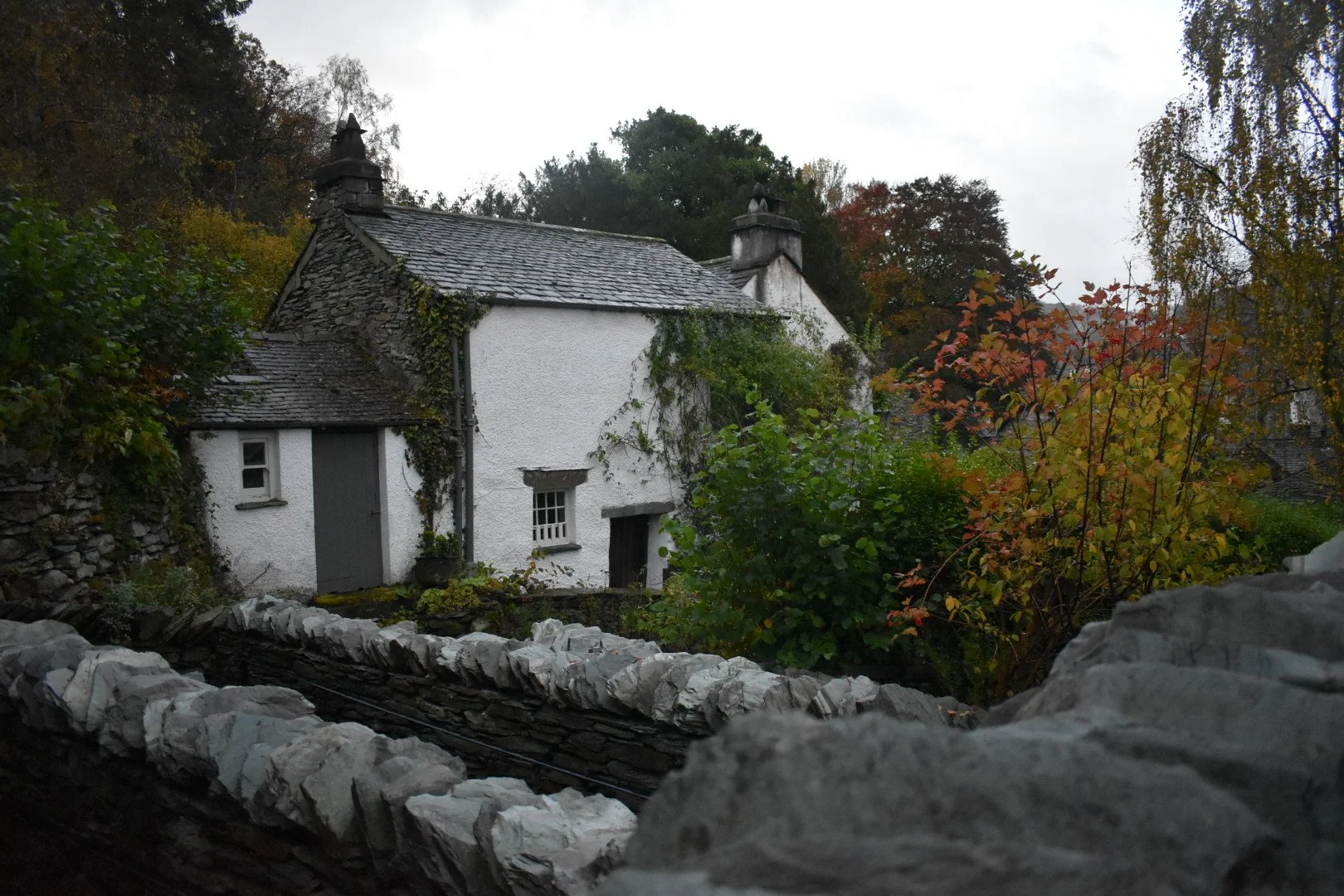 DSC_0842.jpg