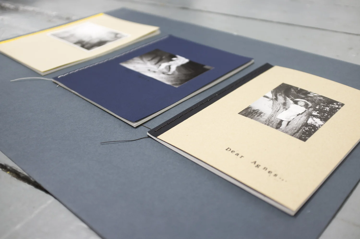 bookthree-3.jpg