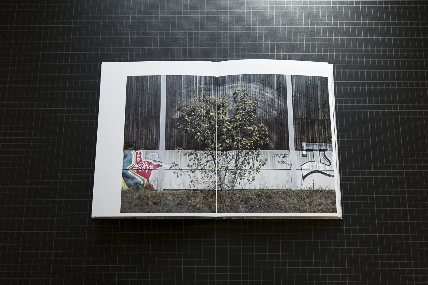 ethnaoregan_dummy_lowres-11.jpg