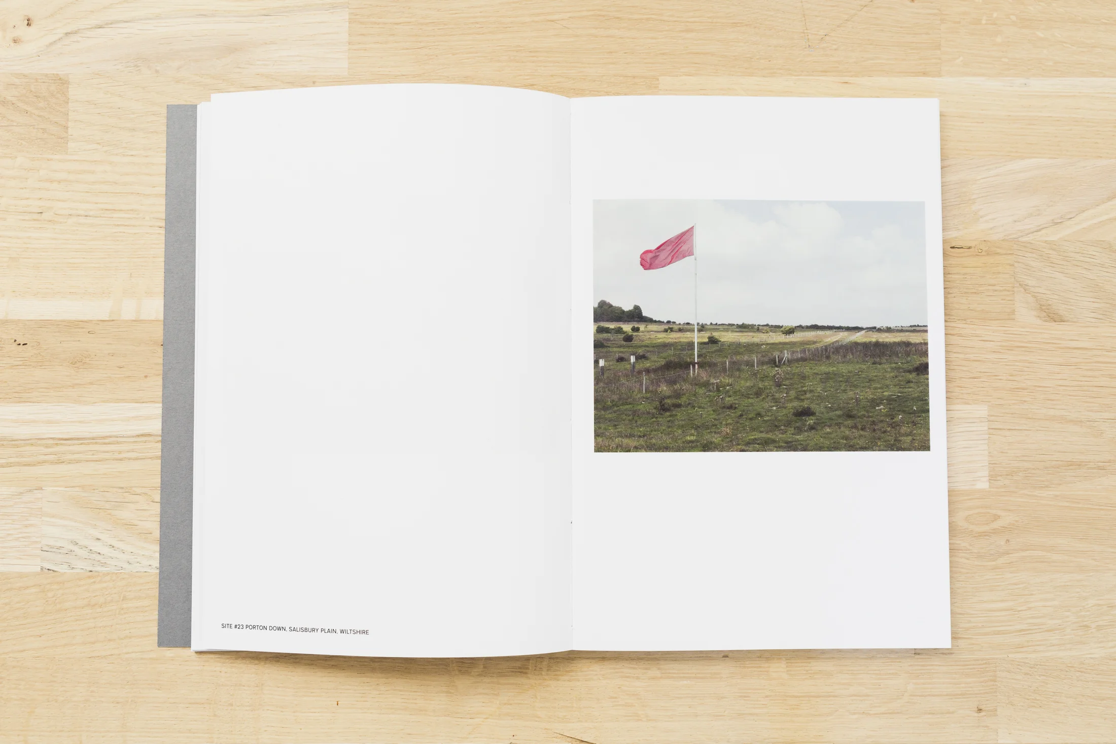 daramcgrath_book-22.jpg