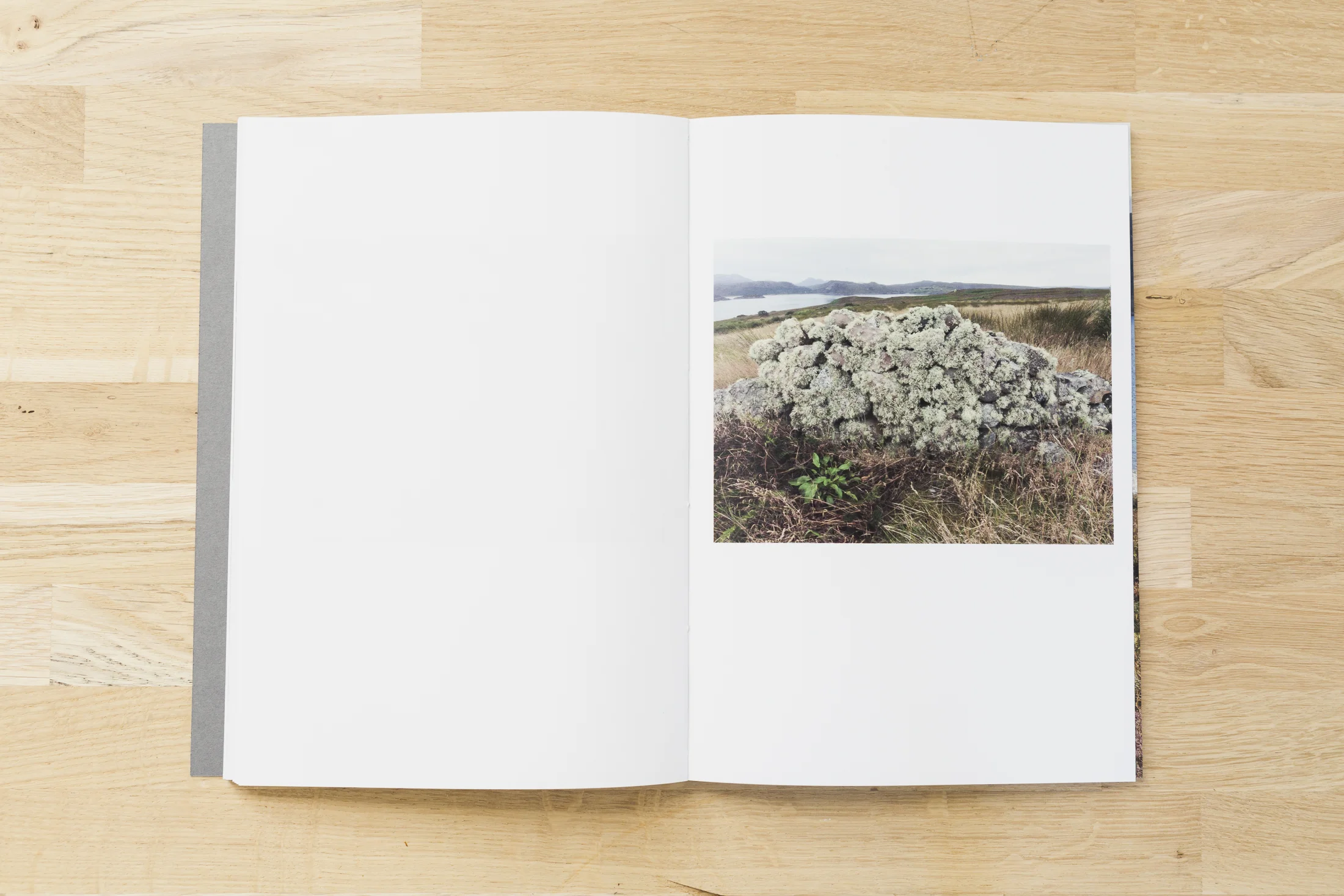 daramcgrath_book-39.jpg