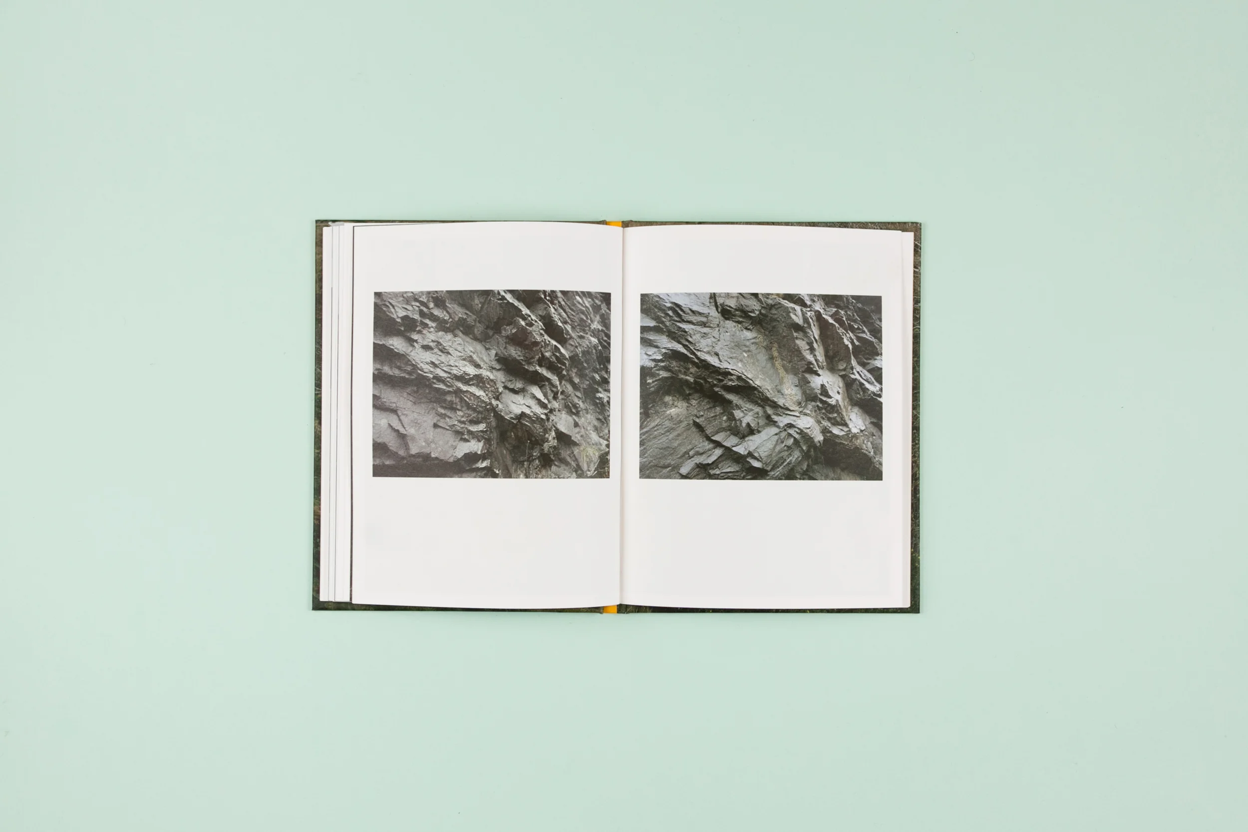 The Whistle Blowing Photobook Photography Lorraine Tuck Design Read That Image