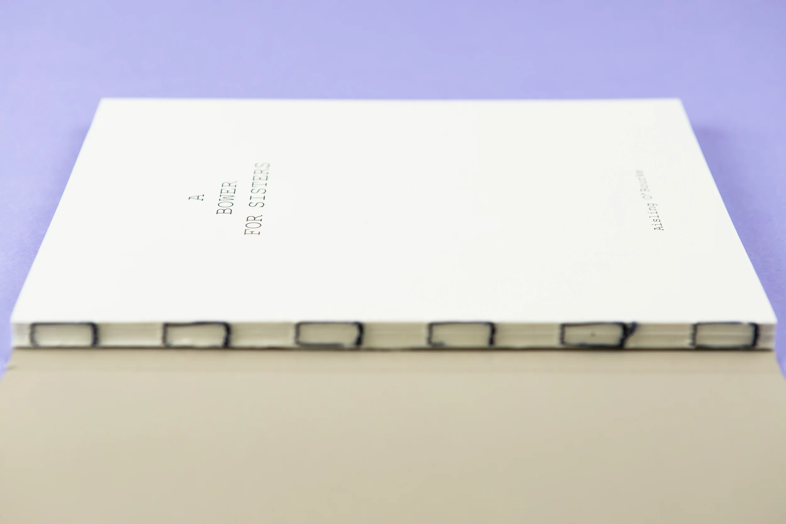 'A Bower for Sisters' by Aisling O'Rourke. Self-published photobook with photography by Aisling O'Rourke and designed by Read That Image.