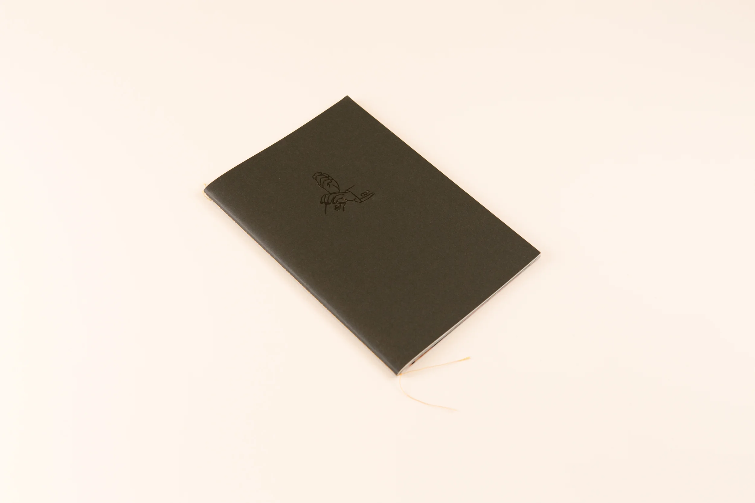Detail from self-published photobook 'Life of Psy' featuring photography by Maciej Pestka and design by Maciej Pestka and Read That Image.