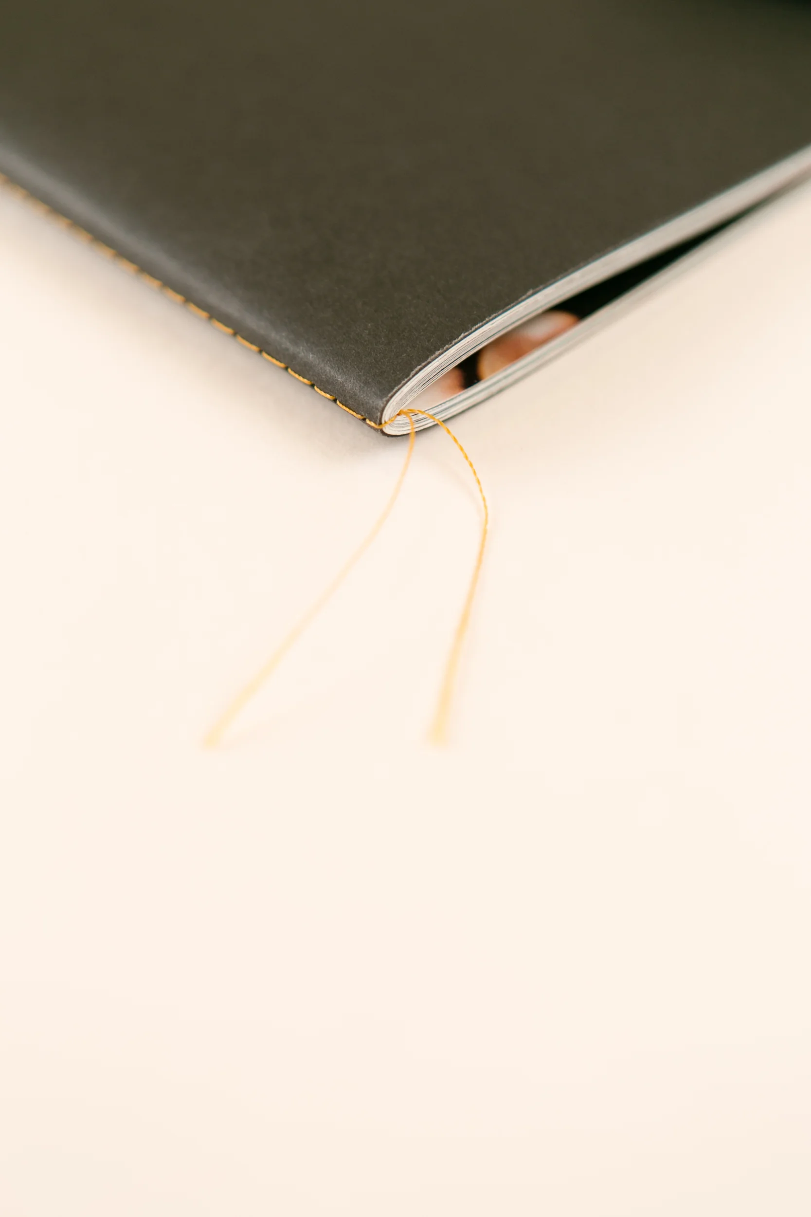 Detail from self-published photobook 'Life of Psy' featuring photography by Maciej Pestka and design by Maciej Pestka and Read That Image.