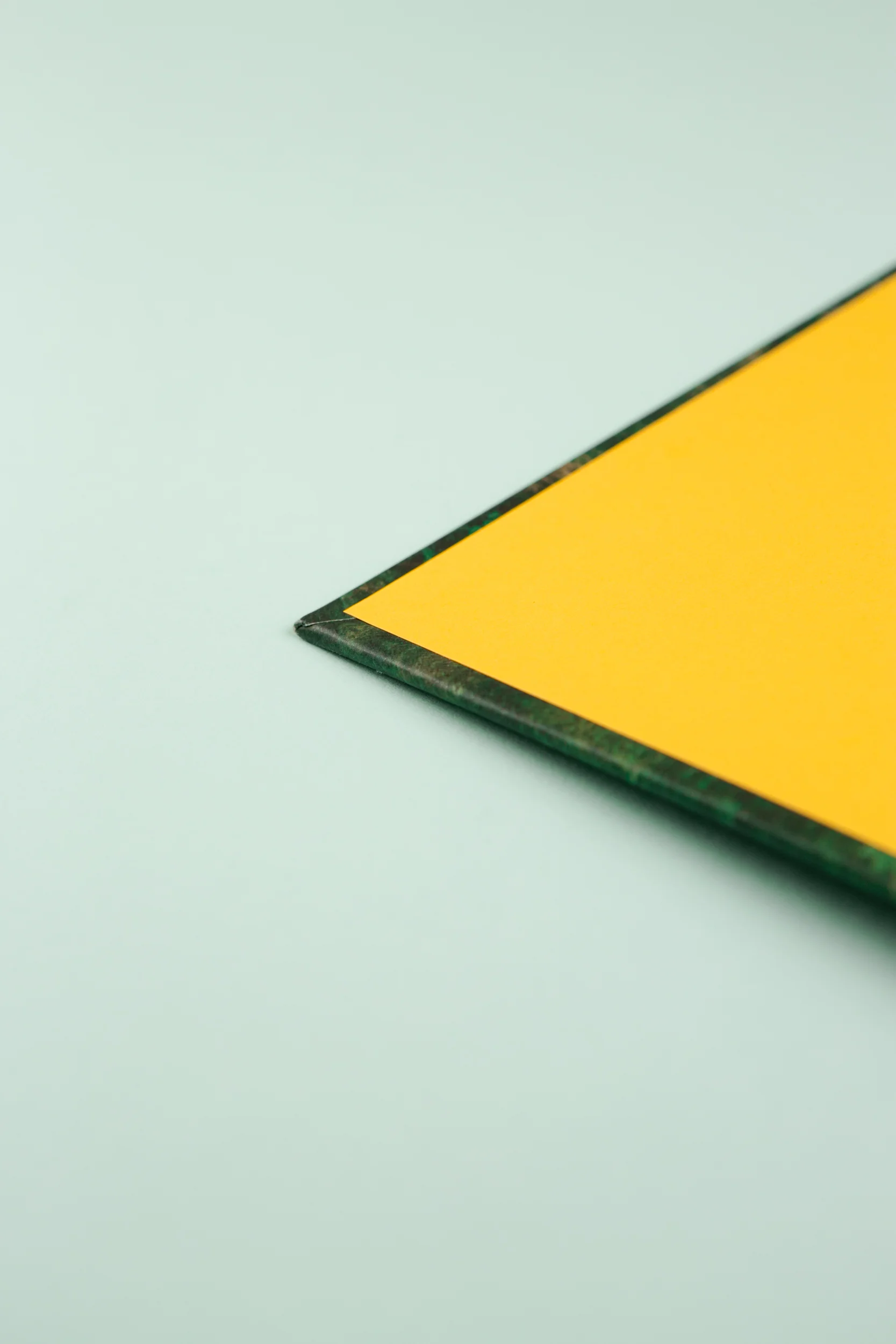 Detail of The Whistle Blowing a photobook with photography by Lorraine Tuck and Design by Read That Image Collective