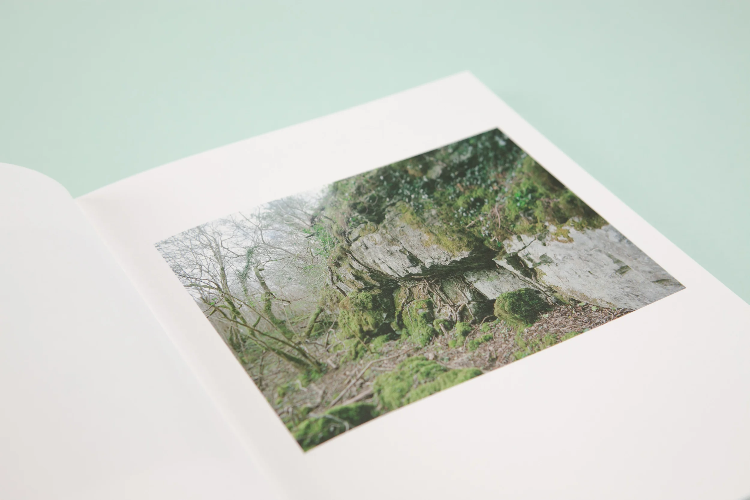 Detail of The Whistle Blowing a photobook with photography by Lorraine Tuck and Design by Read That Image Collective