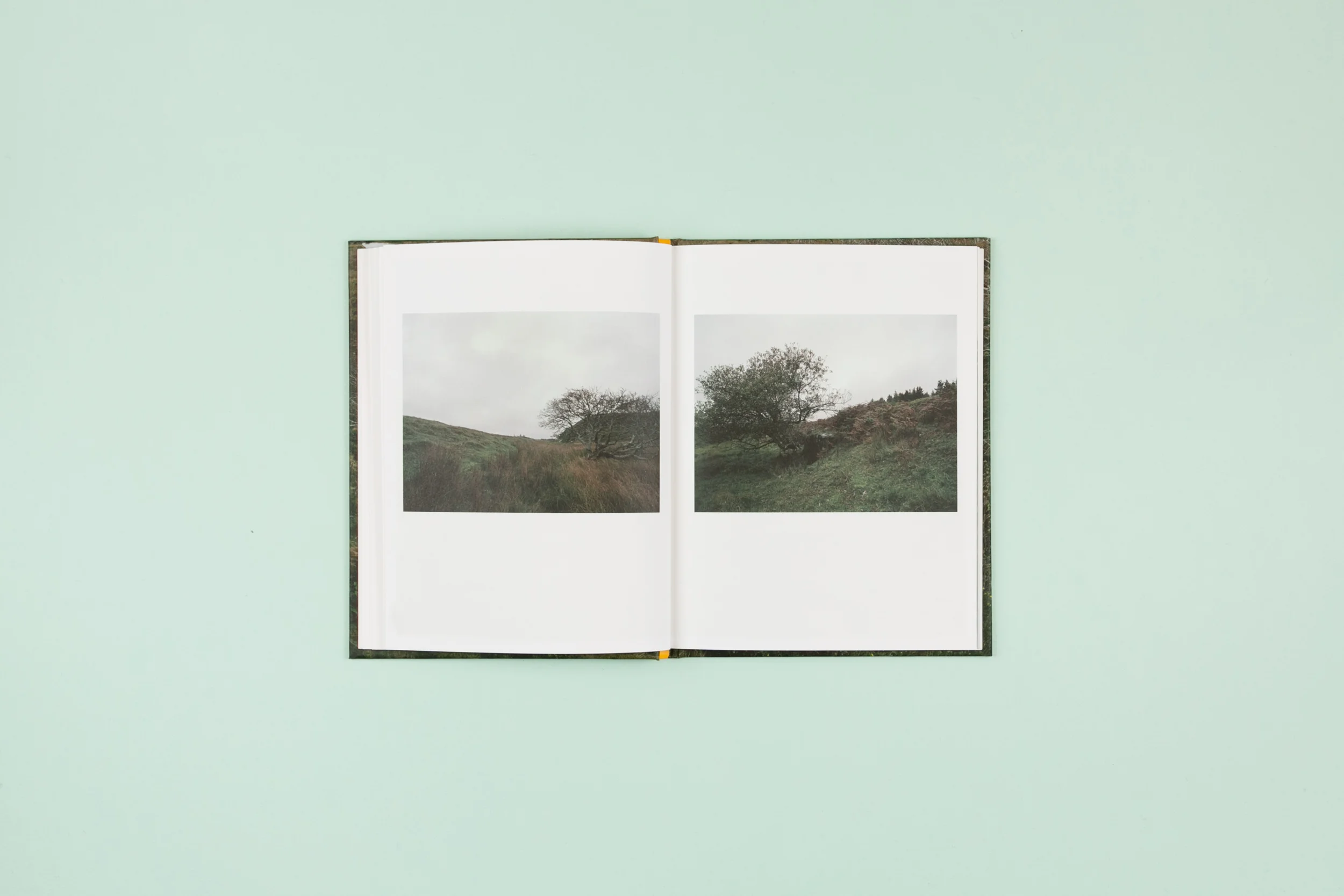 The Whistle Blowing Photobook Photography Lorraine Tuck Design Read That Image