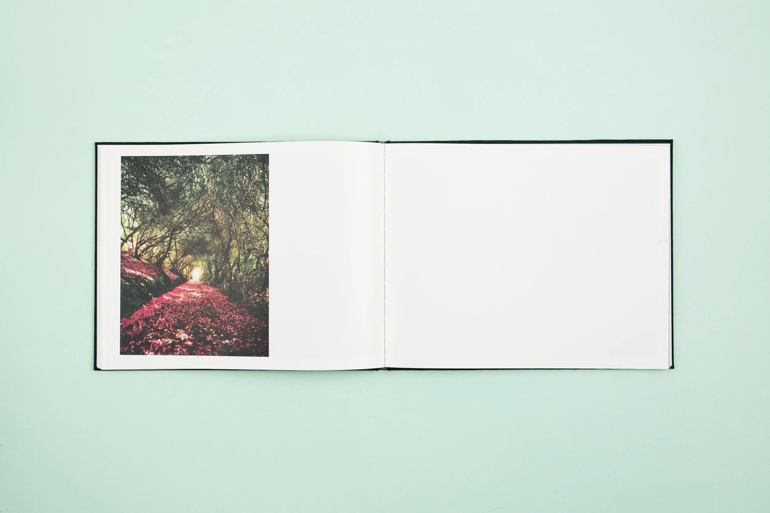 Book spread from self-published photobook 'Skyline' featuring photography by Eoghan Kavanagh and design by Read That Image.