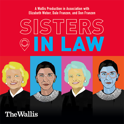   Sisters in Law  