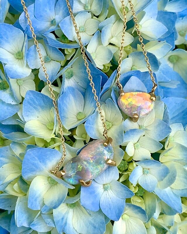 Sunrise or Sunset?⛅️☀️✨
...
...
Spectacular Australian Lightning Opals hand carved by @ancients17 @ancients17sales Set in branches of 18k gold💥
...
...
... #australianopal #handcarved #blackopal #seeds #hearts #beans #lightningridge #crystalopal #an