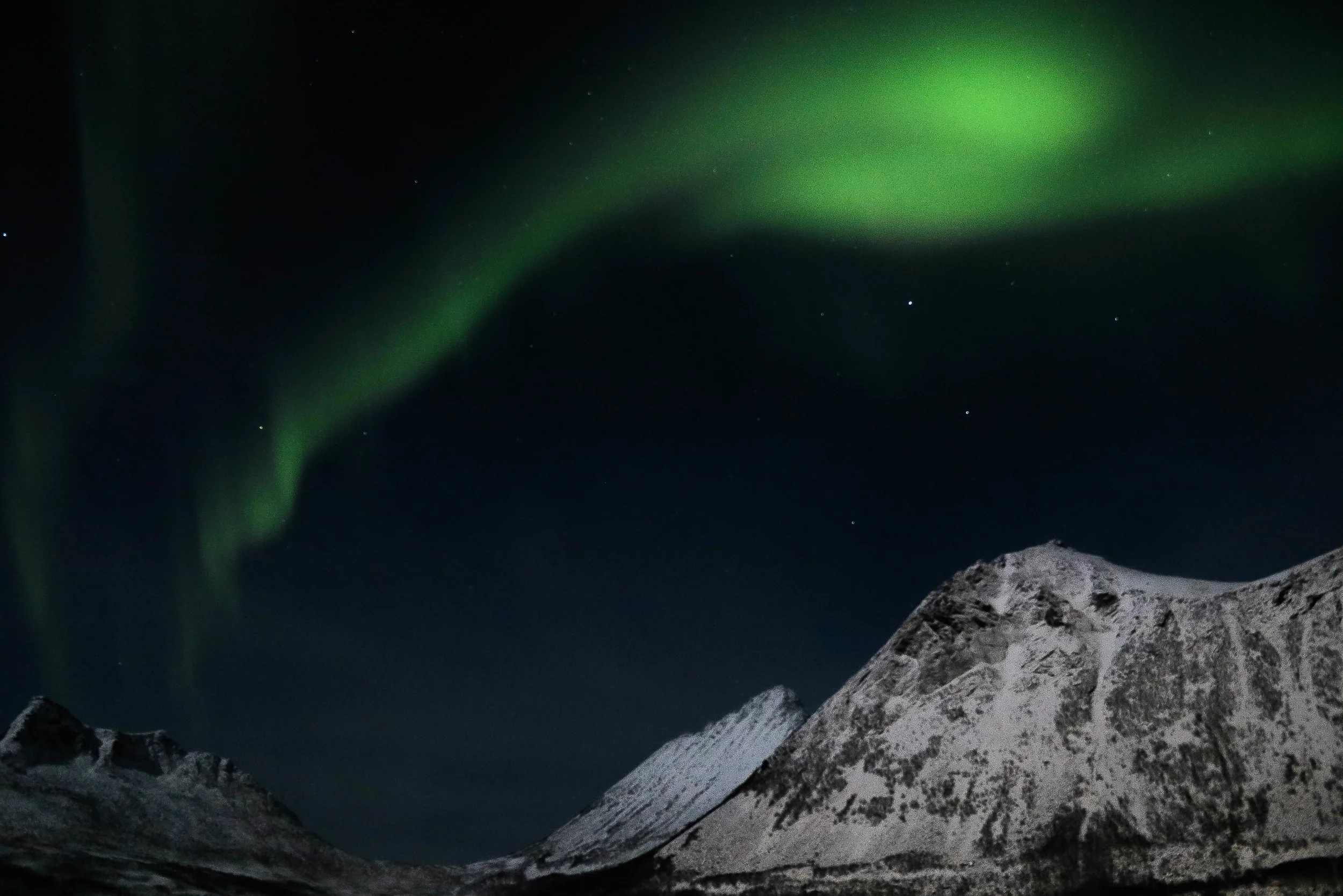 The Aurora filled skies above Gryleefjord.